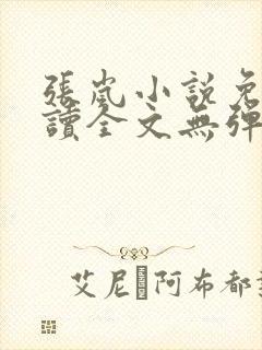 张岚小说免费阅读全文无弹窗