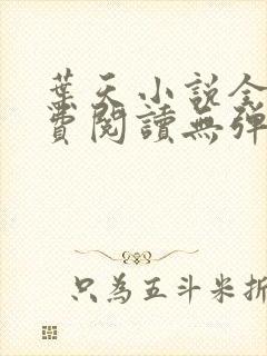 叶天小说全文免费阅读无弹窗封面