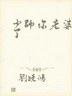 少帅你老婆又跑了