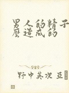 男人的精子是怎么造成的