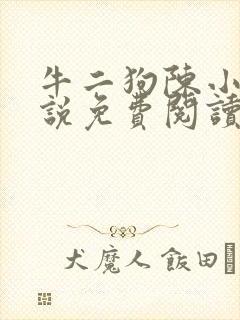 牛二狗陈小燕小说免费阅读全文无弹窗