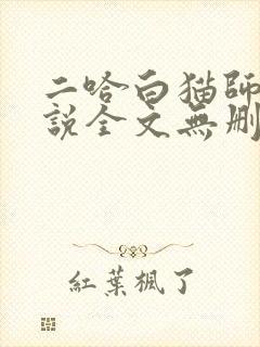 二哈白猫师尊小说全文无删减版下载