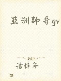 亚洲帅哥gv封面
