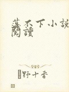 落不下小说免费阅读封面