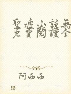 圣墟小说无弹窗免费阅读全文封面