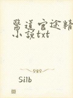 医道官途精校版小说txt