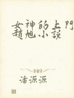 女神的上门豪婿赵旭小说封面