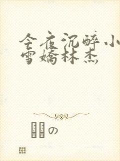 今夜沉醉小说段雪娇林杰