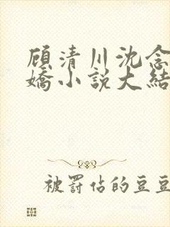 顾清川沈念李娇娇小说大结局