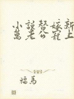 小说替嫁新娘亿万老公宠上天