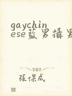 gaychinese蓝男摄男色封面