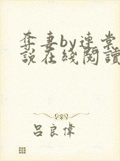 夺妻by连棠小说在线阅读