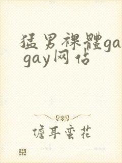 猛男裸体gay gay网站