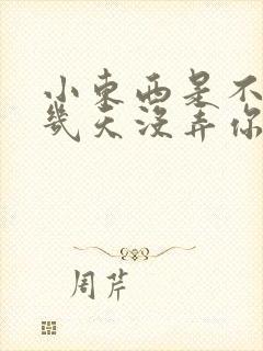 小东西是不是好几天没弄你了封面