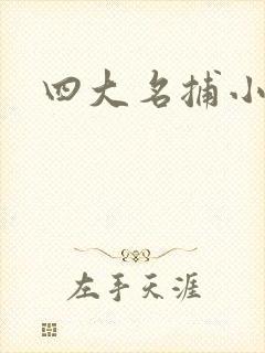 四大名捕小说