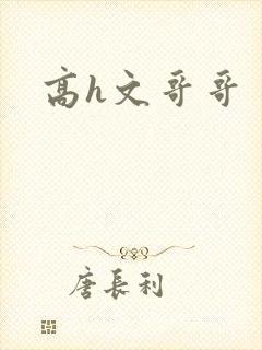 高h文哥哥