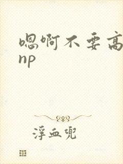 嗯啊不要高h np