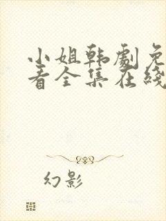 小姐韩剧免费观看全集在线高清封面