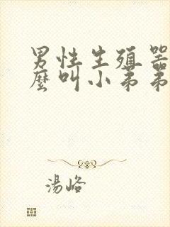 男性生殖器为什么叫小弟弟封面