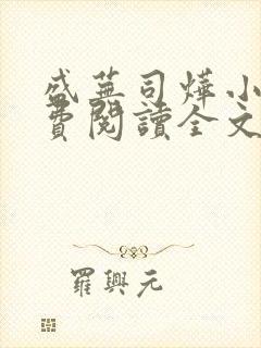 盛芜司烨小说免费阅读全文无弹窗