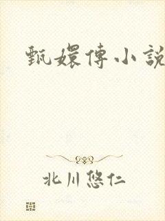 甄嬛传小说封面