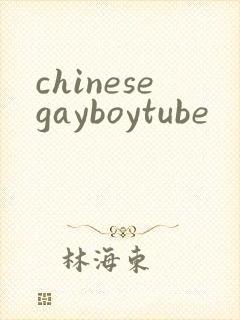 chinesegayboytube封面