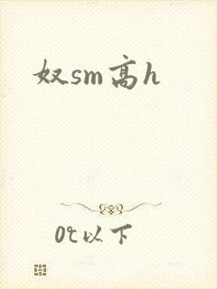 奴sm高h