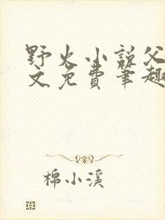 野火小说父女全文免费笔趣阁