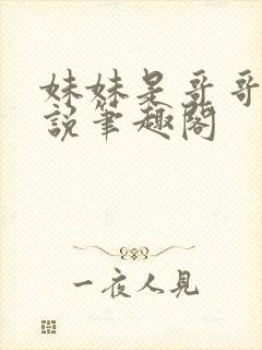 妹妹是哥哥的小说笔趣阁