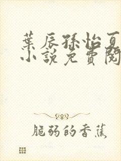 叶辰孙怡夏若雪小说免费阅读全文