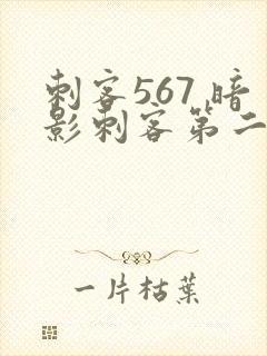 刺客567 暗影刺客第二季免费观看