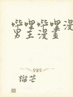 哔哩哔哩漫画双男主漫画