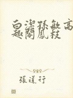 白洁孙敏高义笔趣阁凤枝