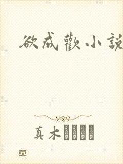 欲成欢小说封面