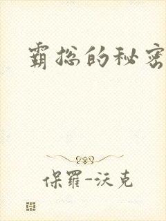 霸总的秘密教学封面