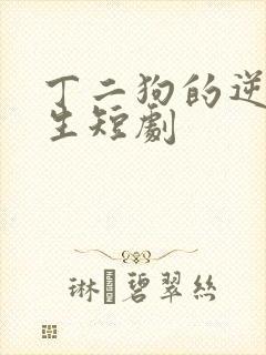 丁二狗的逆袭人生短剧