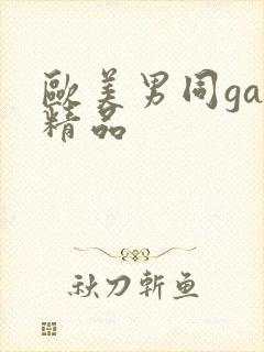 欧美男同gay精品封面