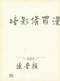 暗影修罗漫画封面