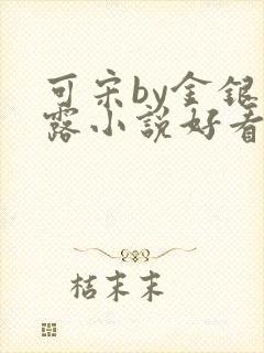 可宋by金银花露小说好看吗
