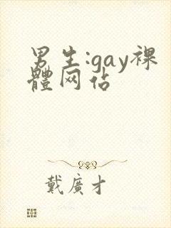 男生:gay裸体网站