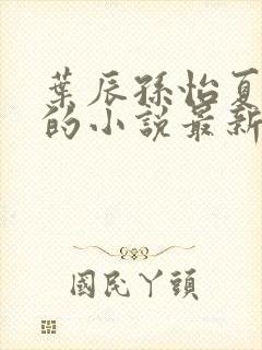 叶辰孙怡夏若雪的小说最新