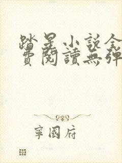 踏星小说全文免费阅读无弹窗