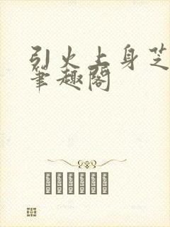 引火上身芝麻糖笔趣阁封面