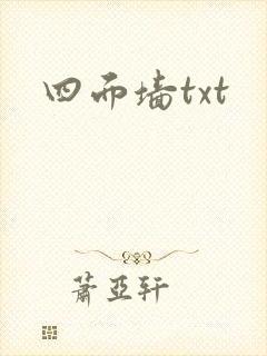 四面墙txt封面