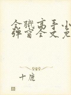 全职高手小说无弹窗全文免费阅读