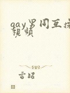 gay男同互操视频