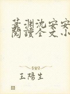 萧渊沈安安免费阅读全文小说封面