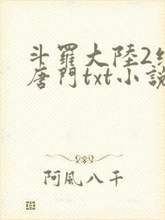 斗罗大陆2绝世唐门txt小说