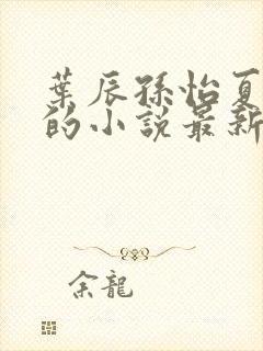 叶辰孙怡夏若雪的小说最新