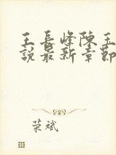 王长峰陈玉娇小说最新章节更新时间表